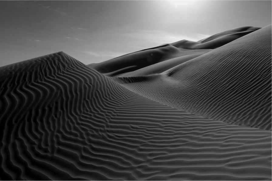 The Empty Quarter