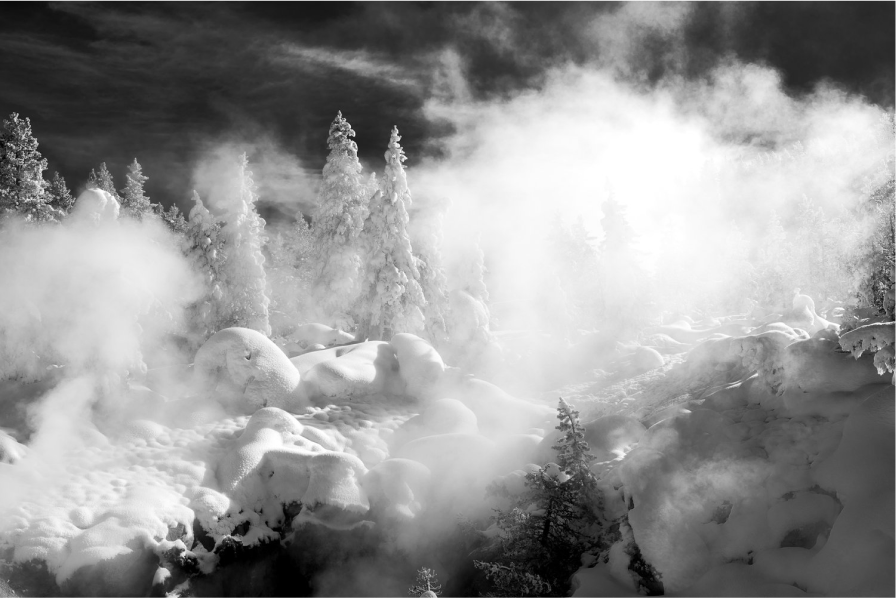 The Fog and the Frost