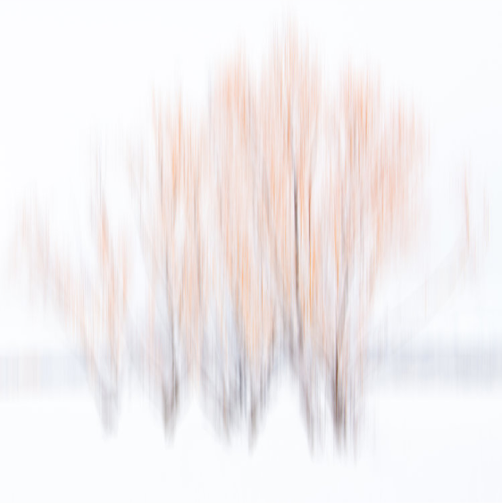 Cottonwood Abstract