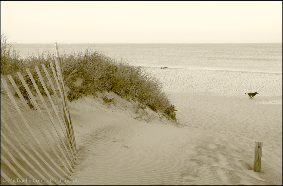 Nothing Like a Beach Run