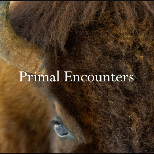 Primal Encounters